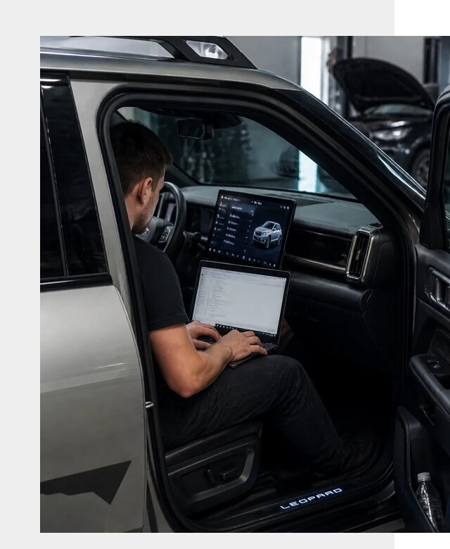 Русификация BYD Leopard 3 в Ефремах по цене от 20388 р. | ФастМобиль-Фрм